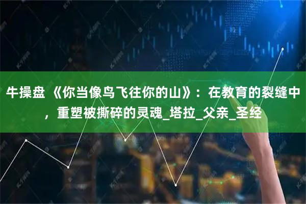 牛操盘 《你当像鸟飞往你的山》：在教育的裂缝中，重塑被撕碎的灵魂_塔拉_父亲_圣经