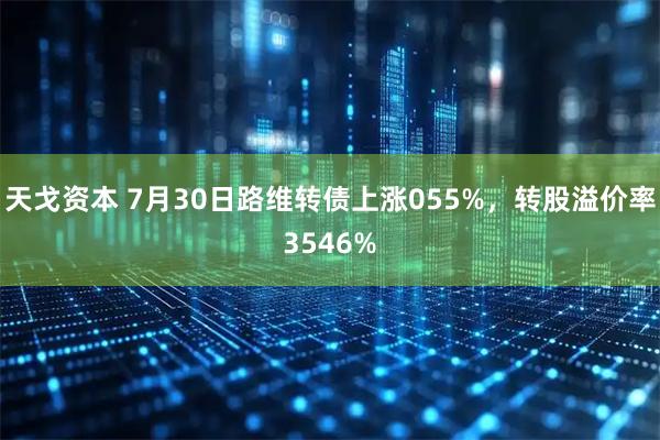 天戈资本 7月30日路维转债上涨055%，转股溢价率3546%